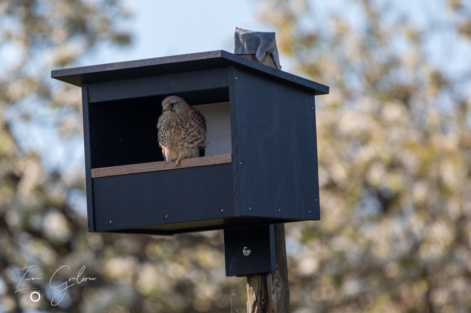 16 april 2022 170349  5D46205